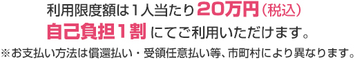利用限度額は1人当たり20万円（税込）自己負担1割にてご利用いただけます。※お支払い方法は償還払い・受領任意払い等、市町村により異なります。